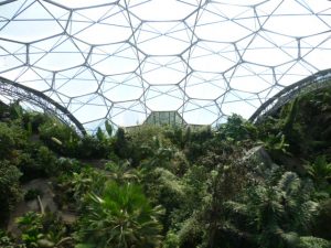 Eden Project, Rain Forest Biome
