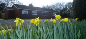 Magnolia Lodge exterior view with daffs