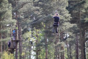 Go Ape @ Haldon Forest